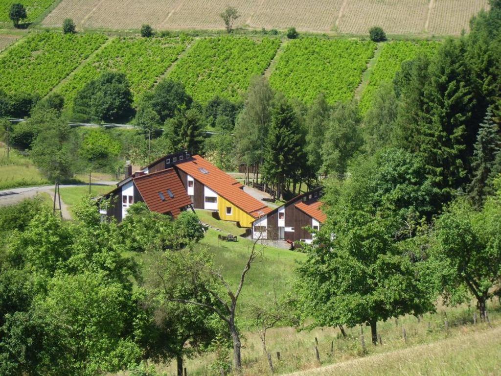 Typ Fuchsbau Schmallenberg Exterior foto